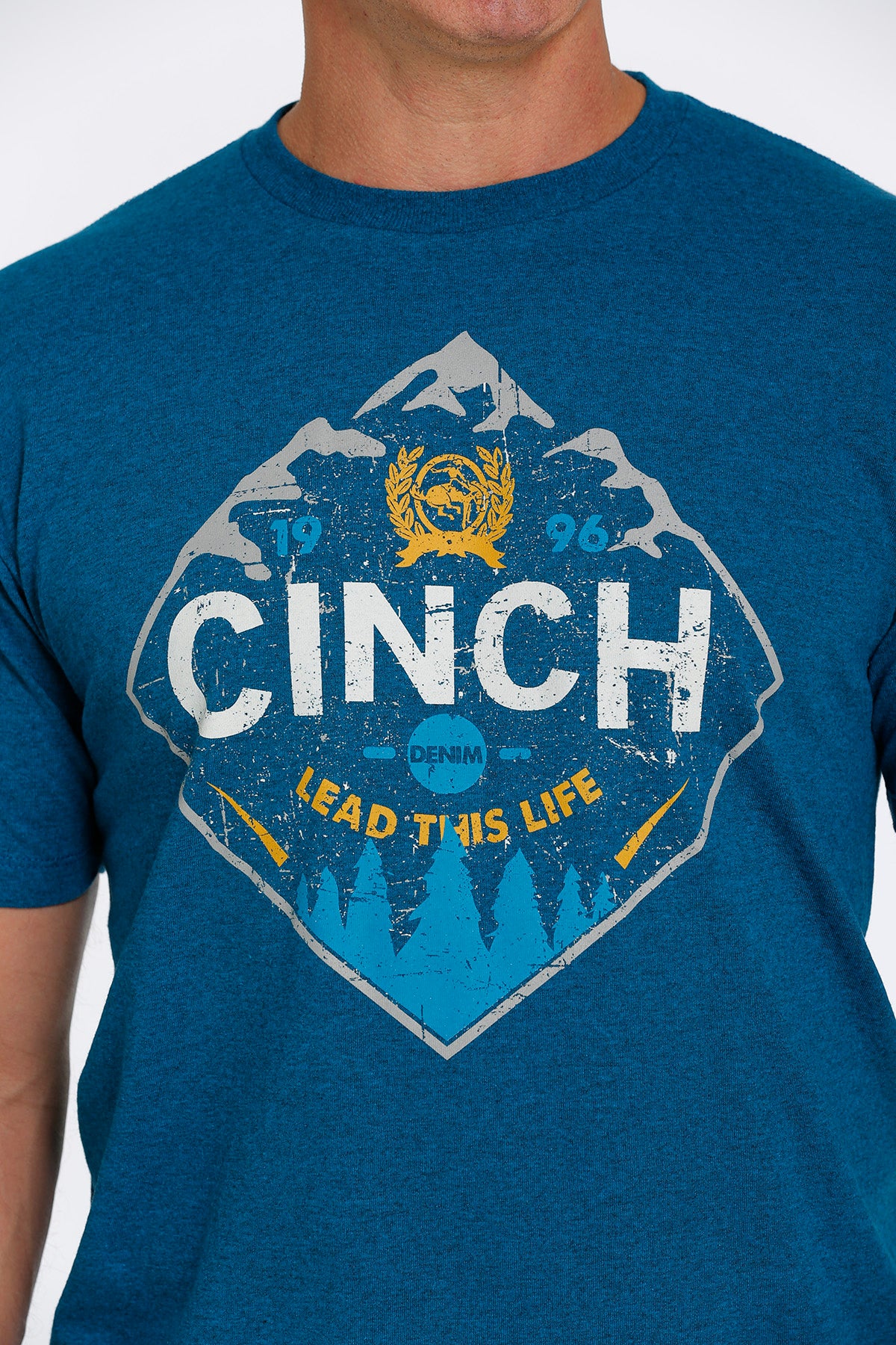 Cinch Mountains Tee- Teal