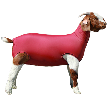 Performance Spandex Goat Tube