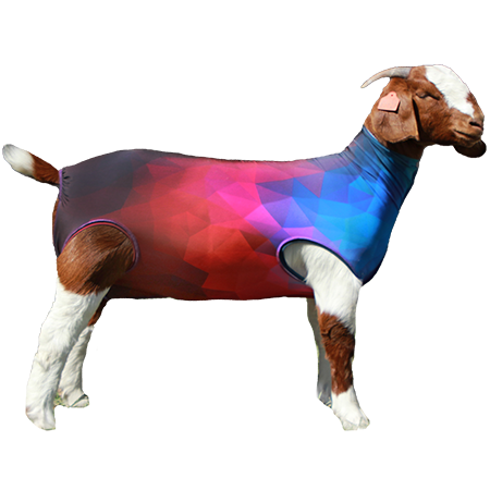 Performance Spandex Goat Tube