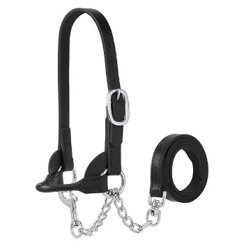 Bucket Calf Show Halter