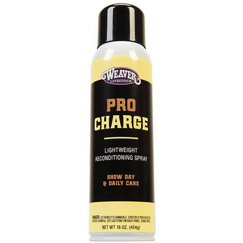 ProCharge Reconditioning Aerosol