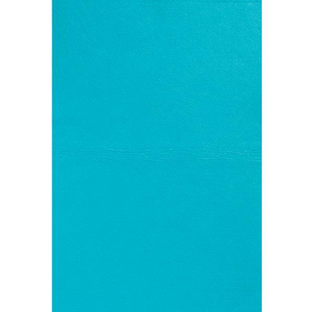 Ultra-Absorbent Chamois