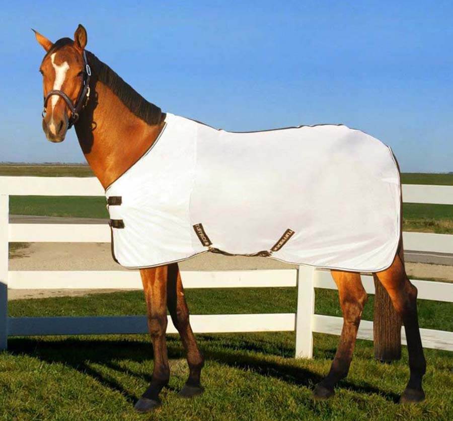 Mesh Fly Sheet