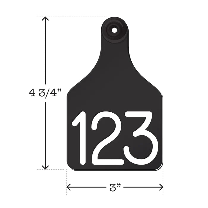 Universal Large Dual Colored Tags