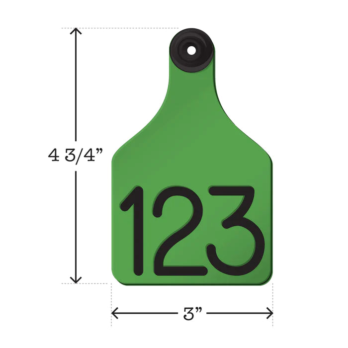 Universal Large Dual Colored Tags