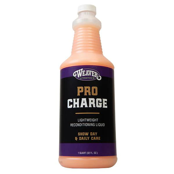 ProCharge Reconditioning Liquid