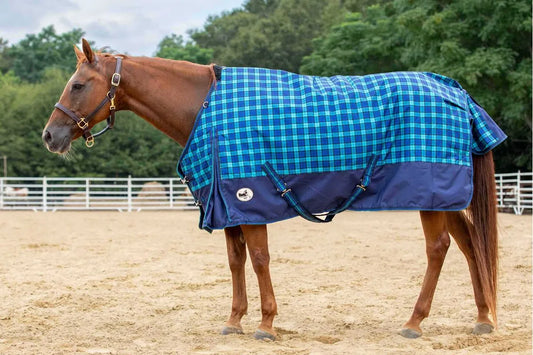 Economy 600D "Royal Blue/Teal Plaid" Horse Blanket