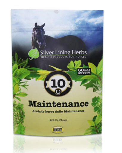 Maintenance for Horses