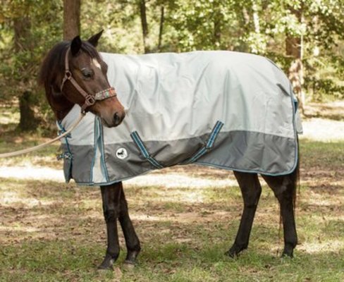Winter Turnout Blanket