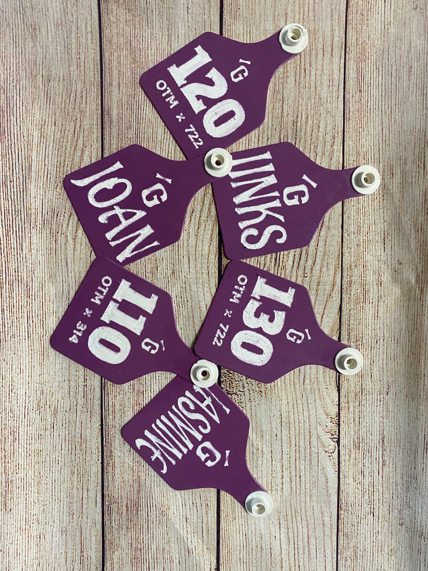 Universal Large Dual Colored Tags